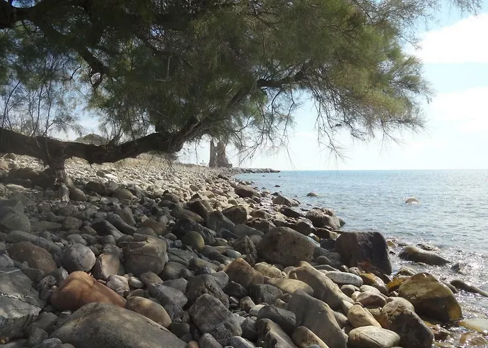 Il Vecchio Pescatore לינה וארוחת בוקר 3*